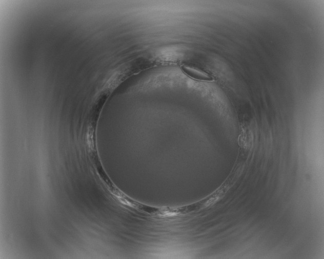 X0000067880718200604131302