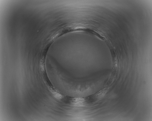 X0000067880719200604131302