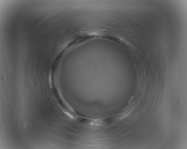 X0000067880720200604131302