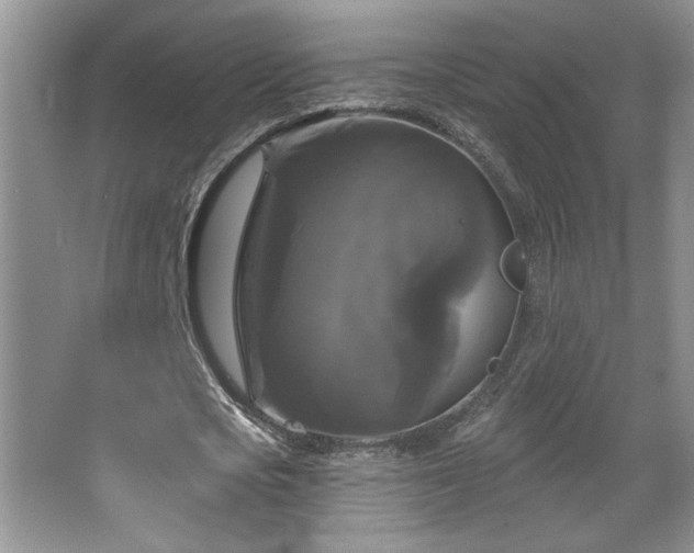X0000067880721200604131301