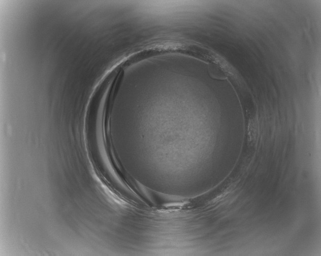 X0000067880722200604131301