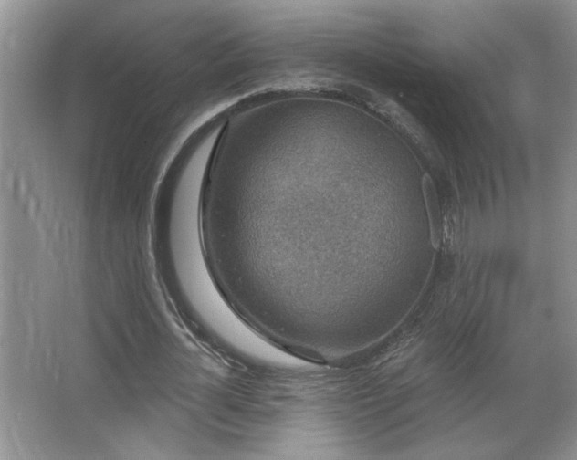 X0000067880724200604131301
