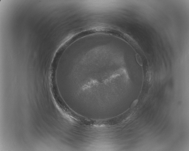 X0000067880730200604131301
