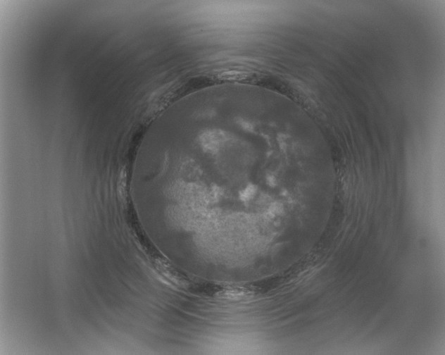 X0000067880745200604131302