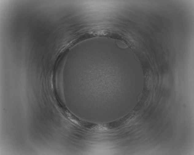 X0000067880747200604131302