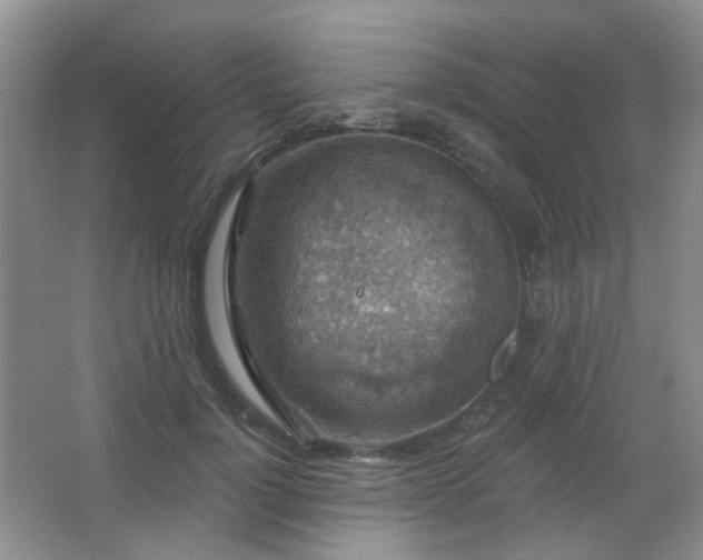 X0000067880748200604131302