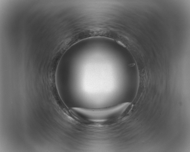 X0000067880756200604131302