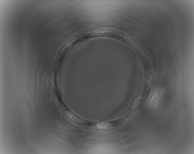 X0000067880758200604131302