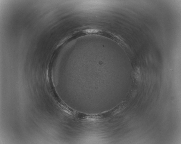 X0000067880763200604131302