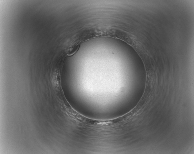 X0000067880770200604131301