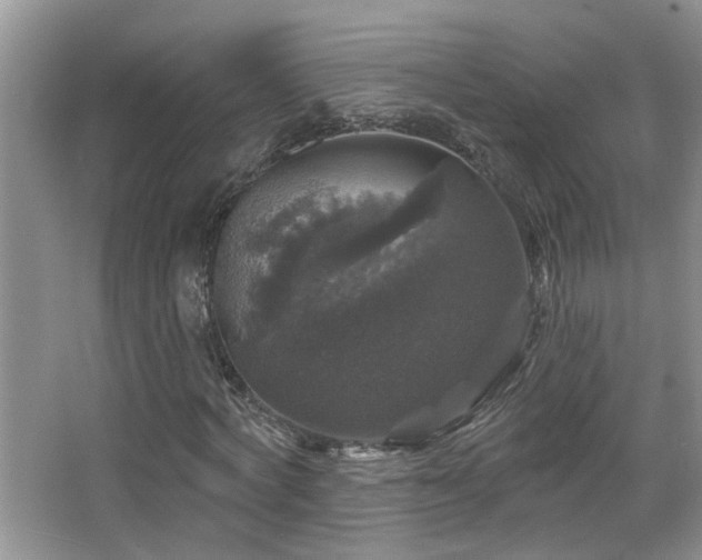 X0000067880772200604131301