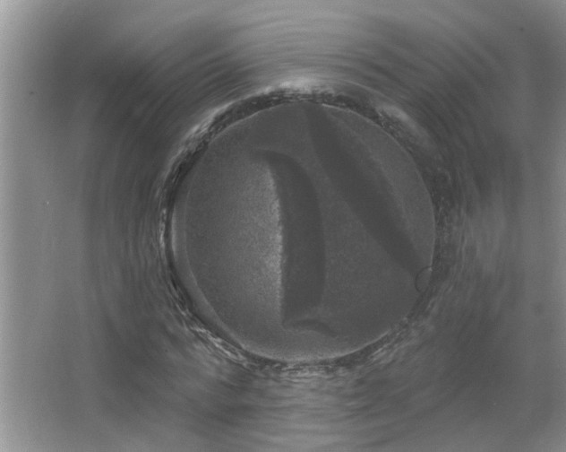 X0000067880776200604131301