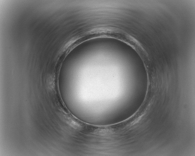 X0000067880778200604131301