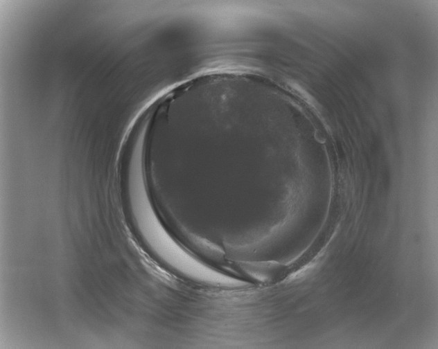 X0000067880779200604131301