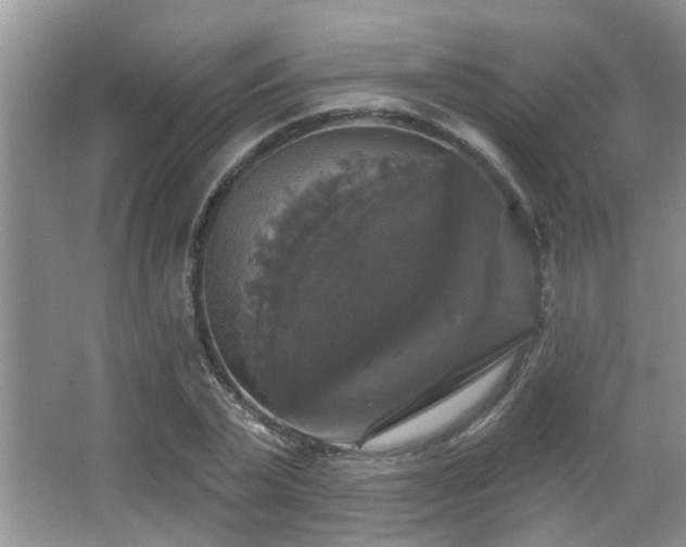 X0000067880783200604131301