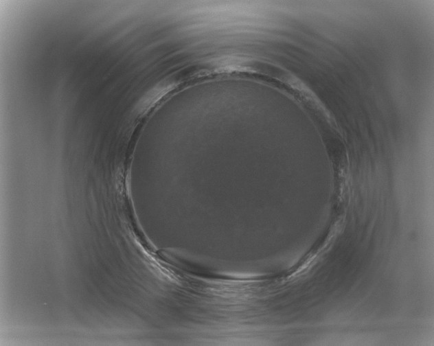 X0000067880785200604131301