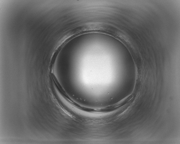 X0000067880786200604131301