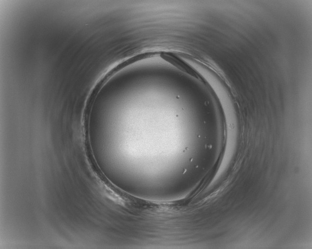 X0000067880787200604131301