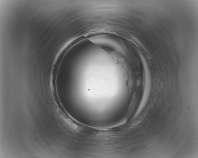 X0000067880788200604131301