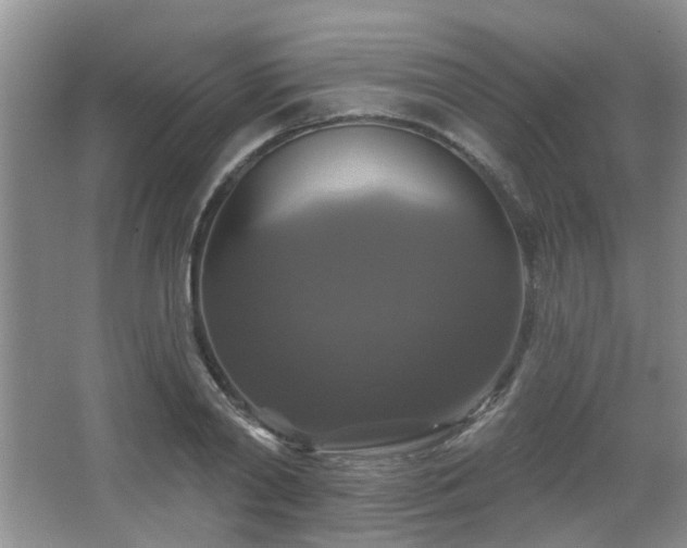 X0000067880790200604131301