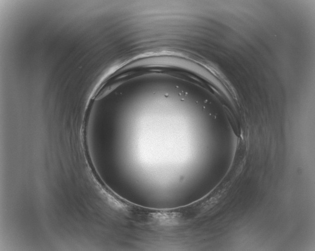 X0000067880805200604131301
