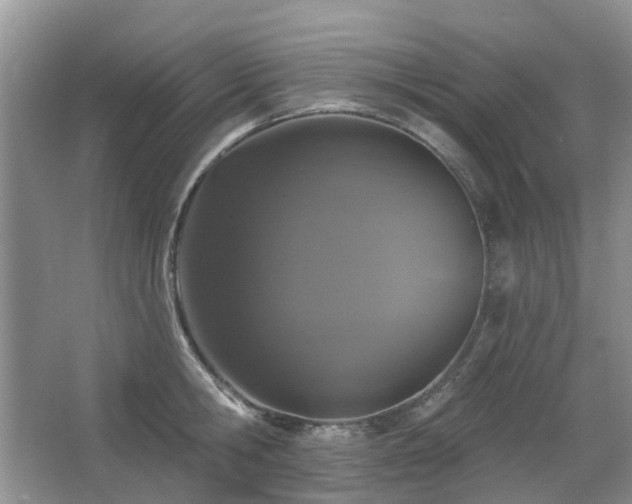 X0000067880806200604131301