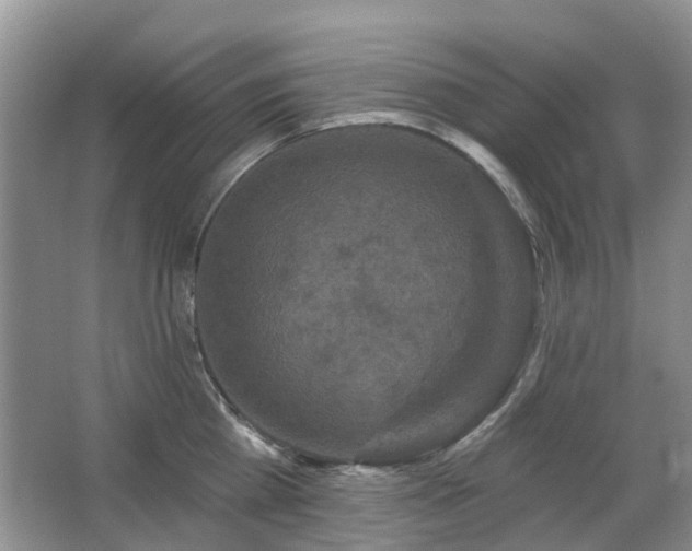 X0000067880809200604131301