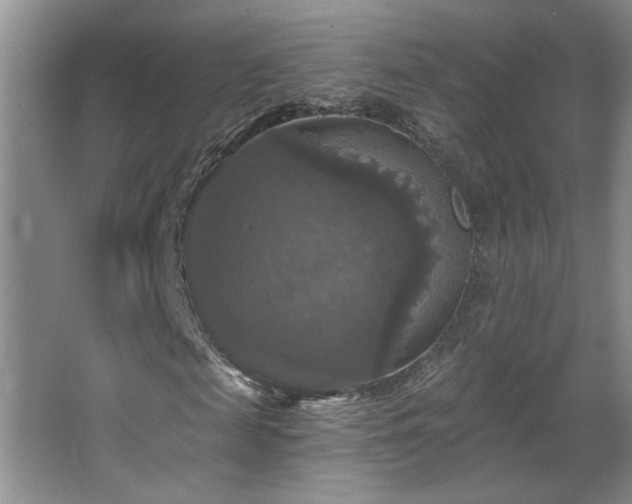 X0000067880817200604131300