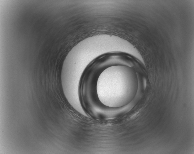 X0000067880818200604131300