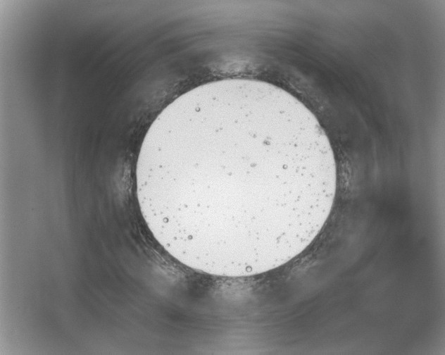 X0000067880820200604131300