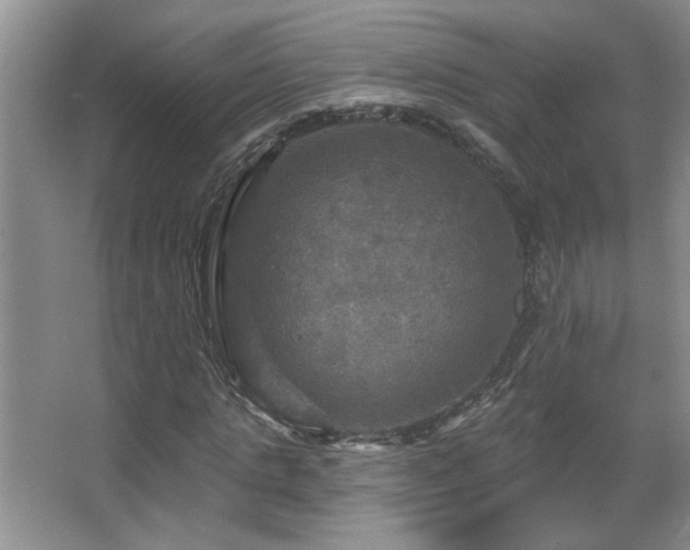 X0000067880821200604131300