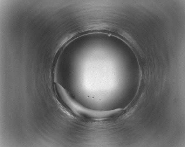 X0000067880834200604131300