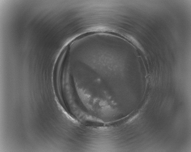 X0000067880839200604131300