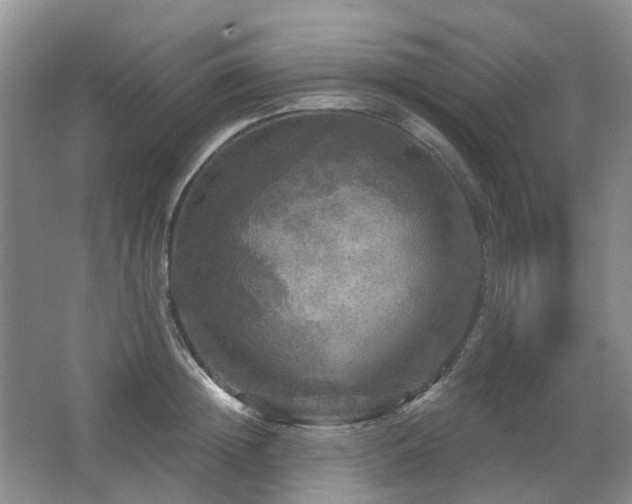 X0000067880852200604131300