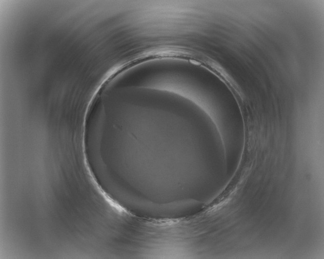 X0000067880853200604131300
