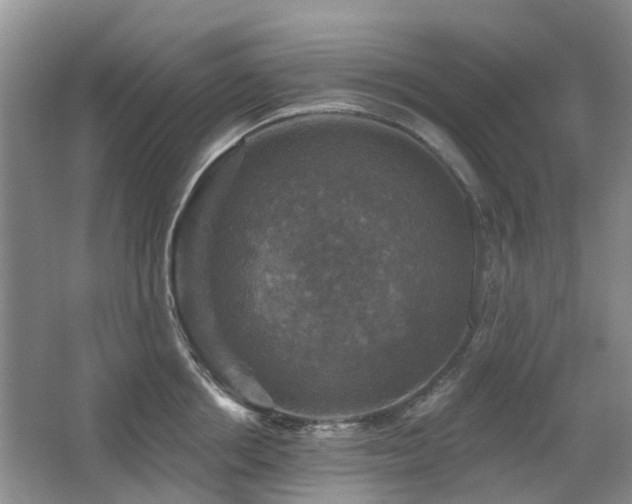 X0000067880858200604131300