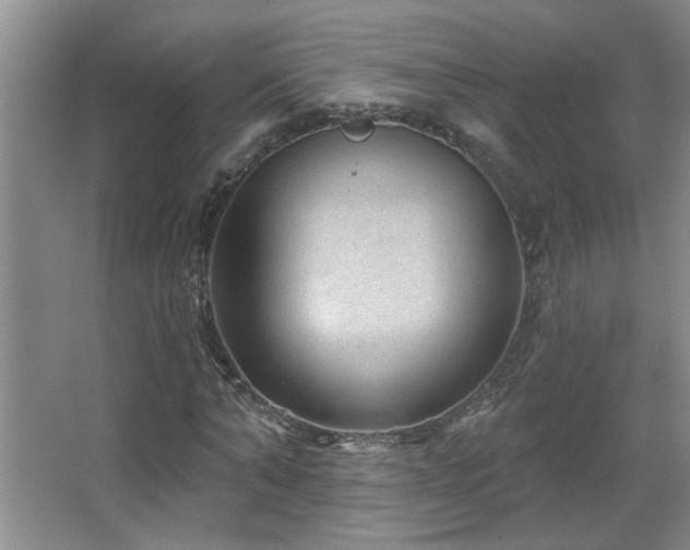 X0000067880870200604131300