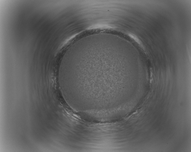 X0000067880872200604131300