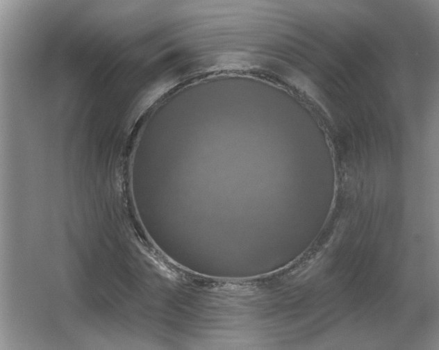 X0000067880874200604131300
