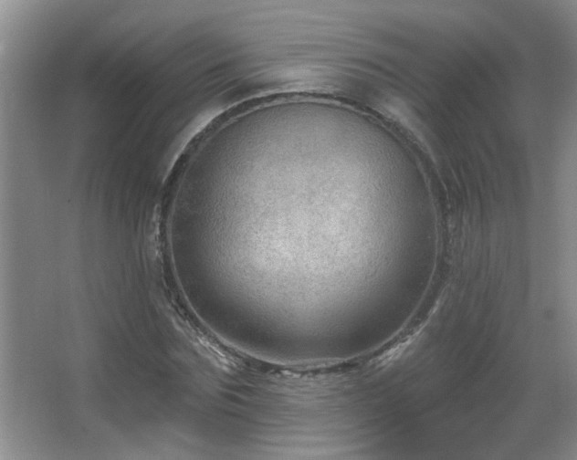 X0000067880875200604131300
