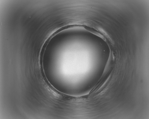 X0000067880884200604131259