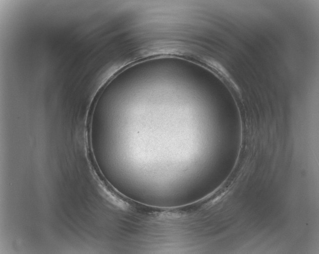 X0000067880890200604131259