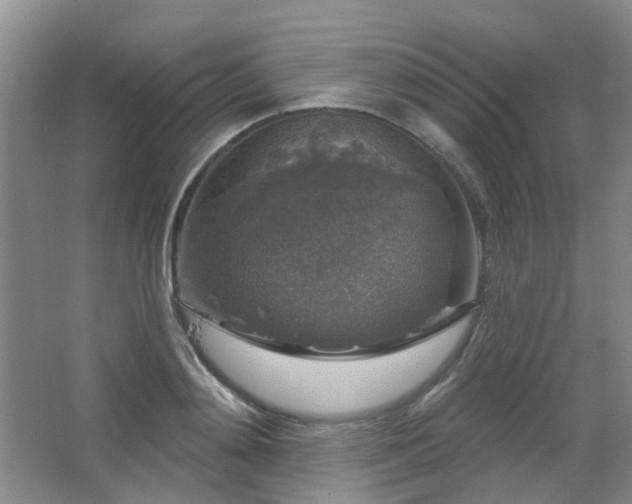 X0000067880892200604131259