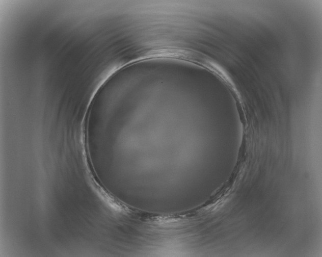 X0000067880907200604131259