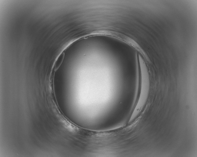 X0000067880908200604131259