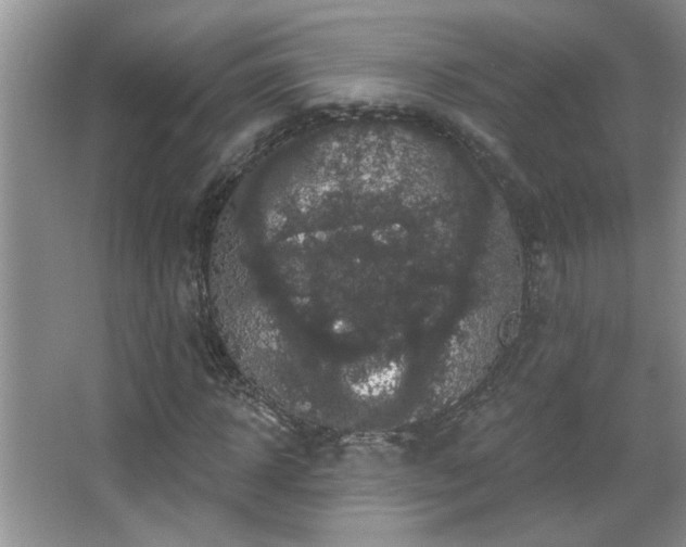 X0000067880918200604131258
