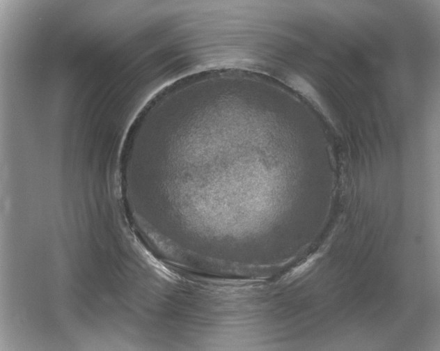 X0000067880924200604131258