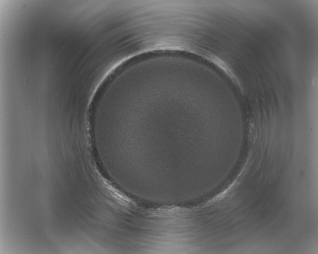 X0000067880926200604131258