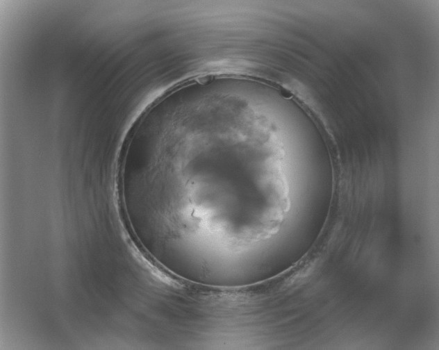 X0000067880941200604131259