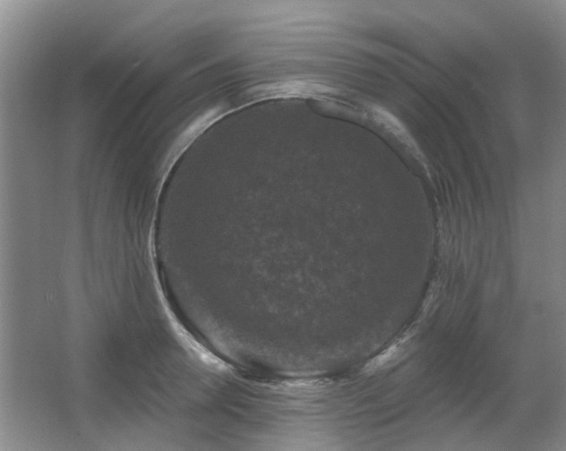 X0000067880946200604131259